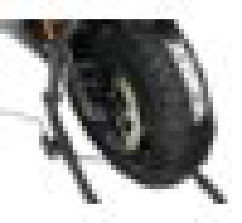 Load image into Gallery viewer, Vortex Racing TW101 VTX Tire Warmers
