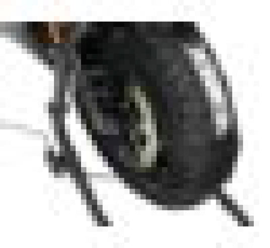 Vortex Racing TW101 VTX Tire Warmers