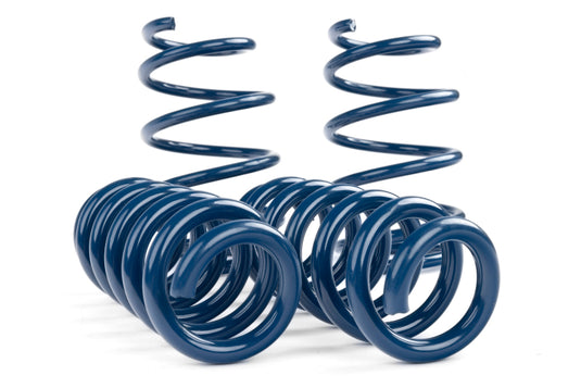 Dinan D100-0938 DNN Coil Springs
