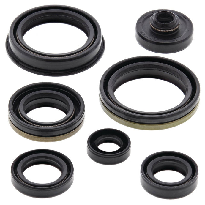 Vertex 822266 Oil Seal Kit