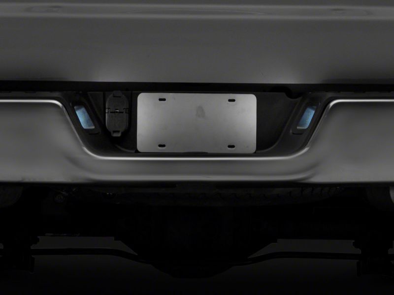 Load image into Gallery viewer, Raxiom R117120 RAX License Plate Bulbs
