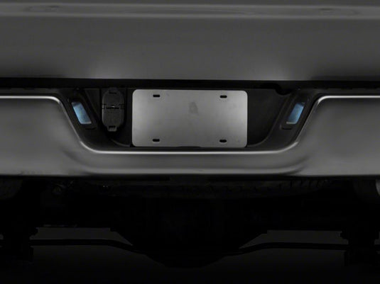 Raxiom R117120 RAX License Plate Bulbs