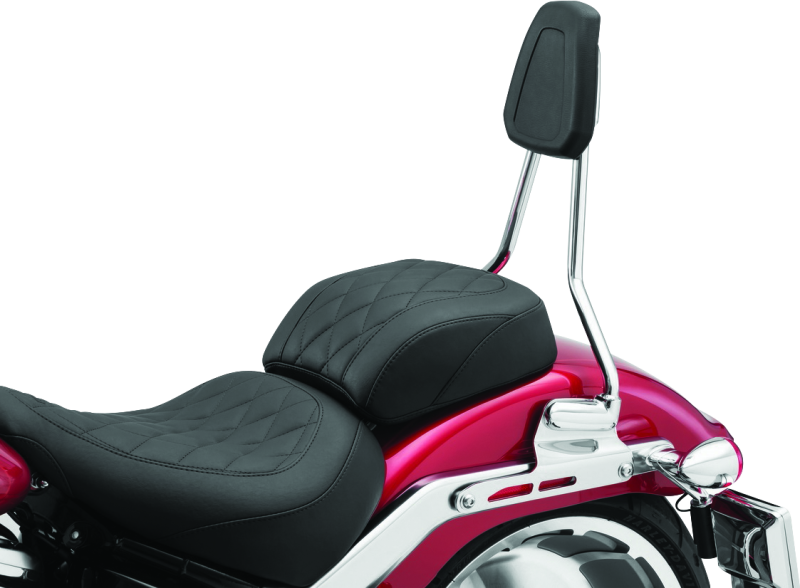 Load image into Gallery viewer, Kuryakyn 6588 KUR Sissy Bars
