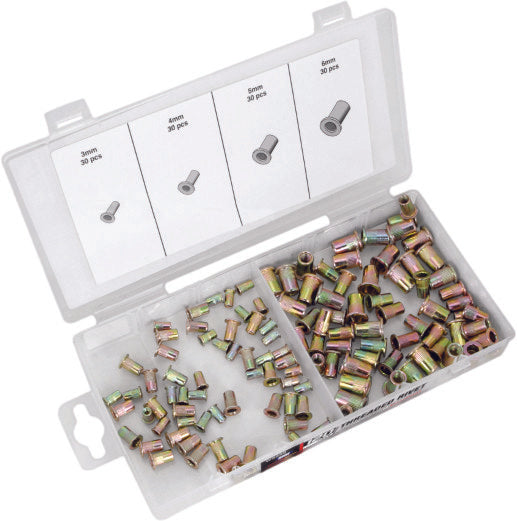 Performance Tools W5252 Threaded Insert Rivet Replacement Pack for Threaded Insert Rivet Tool Kit - Metric - 120 Piece