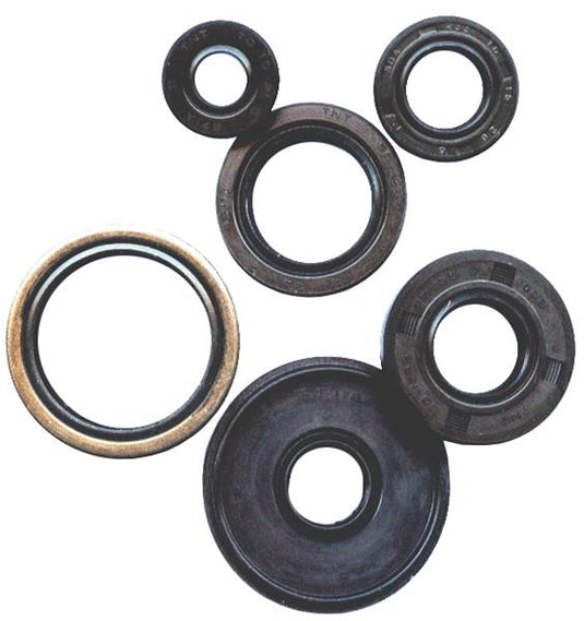 Winderosa 822366 Oil Seal Kit