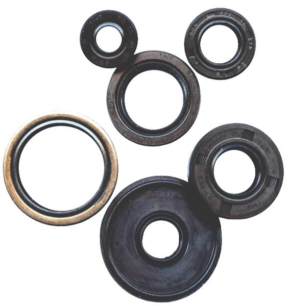Vertex 822995 Oil Seal Kit
