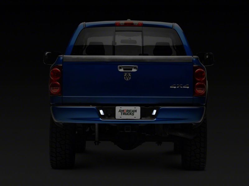 Load image into Gallery viewer, Raxiom R109176 RAX License Plate Bulbs
