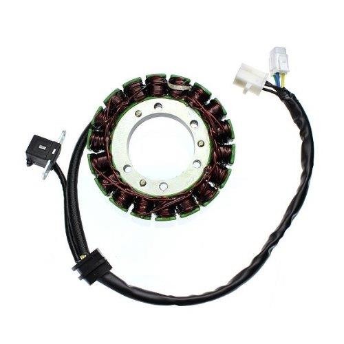 Electrosport Industries ESG545 Stator