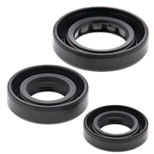 Vertex 822180 Oil Seal Kit