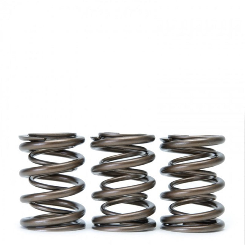 Load image into Gallery viewer, Skunk2 Racing 311-05-1350 SK Tuner Valve Springs
