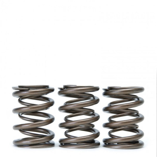 Skunk2 Racing 311-05-1350 SK Tuner Valve Springs