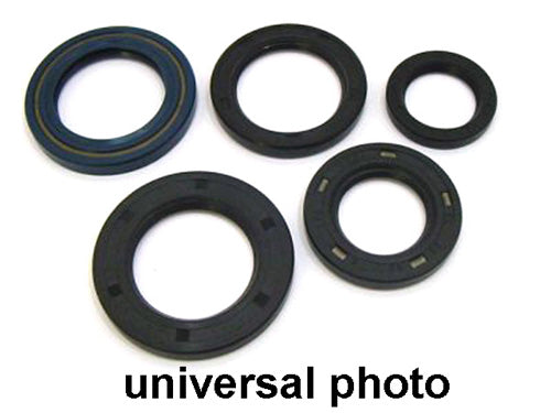 Vertex 822343 Oil Seal Kit