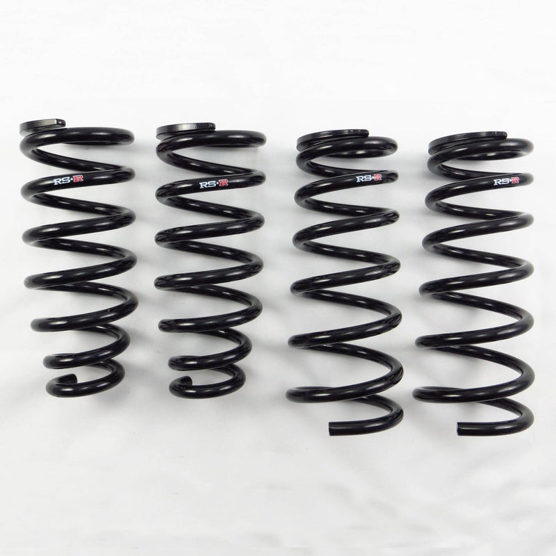 Load image into Gallery viewer, Rs-R T223D RSR Down Sus Springs
